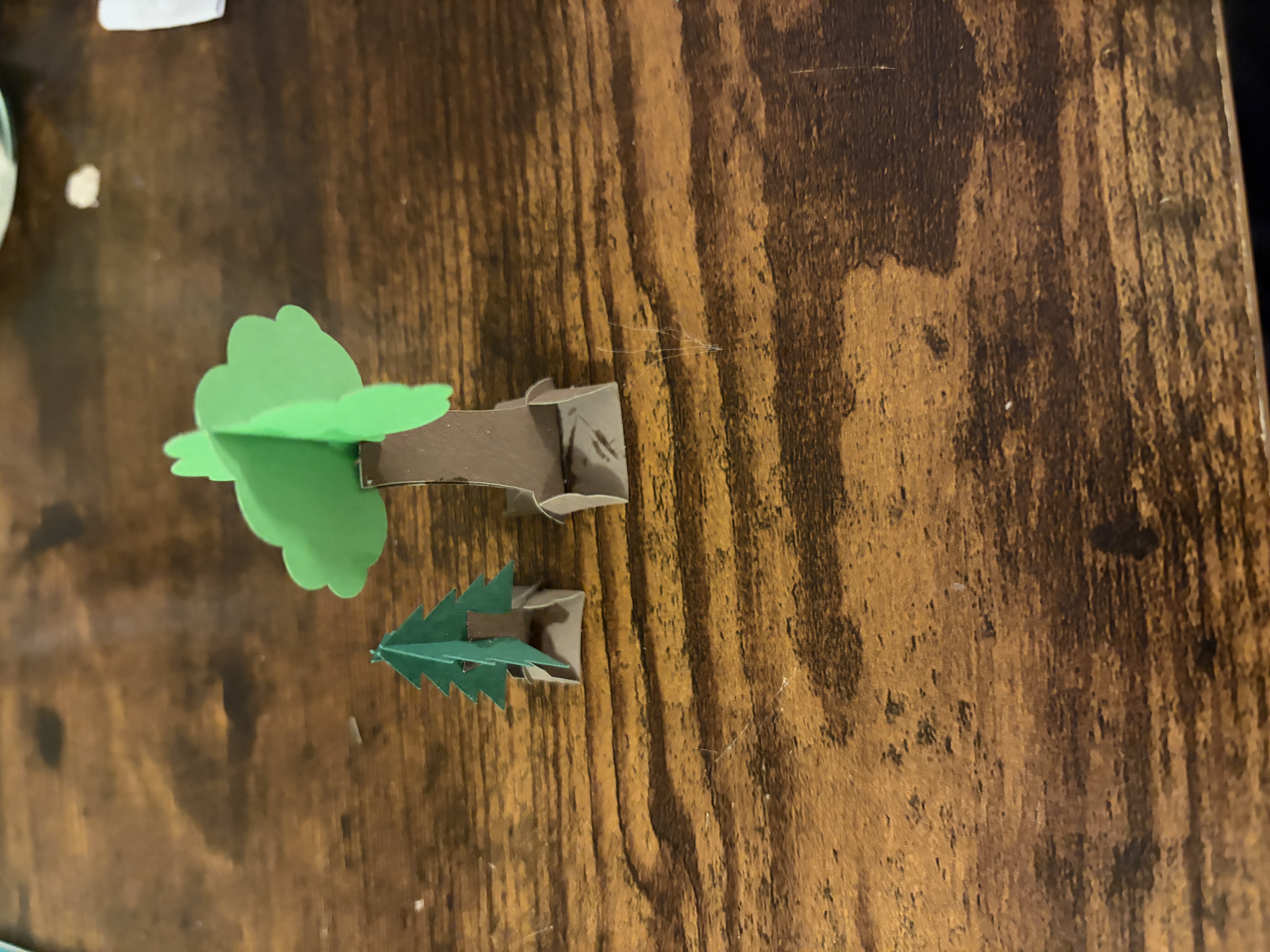 Trees 1